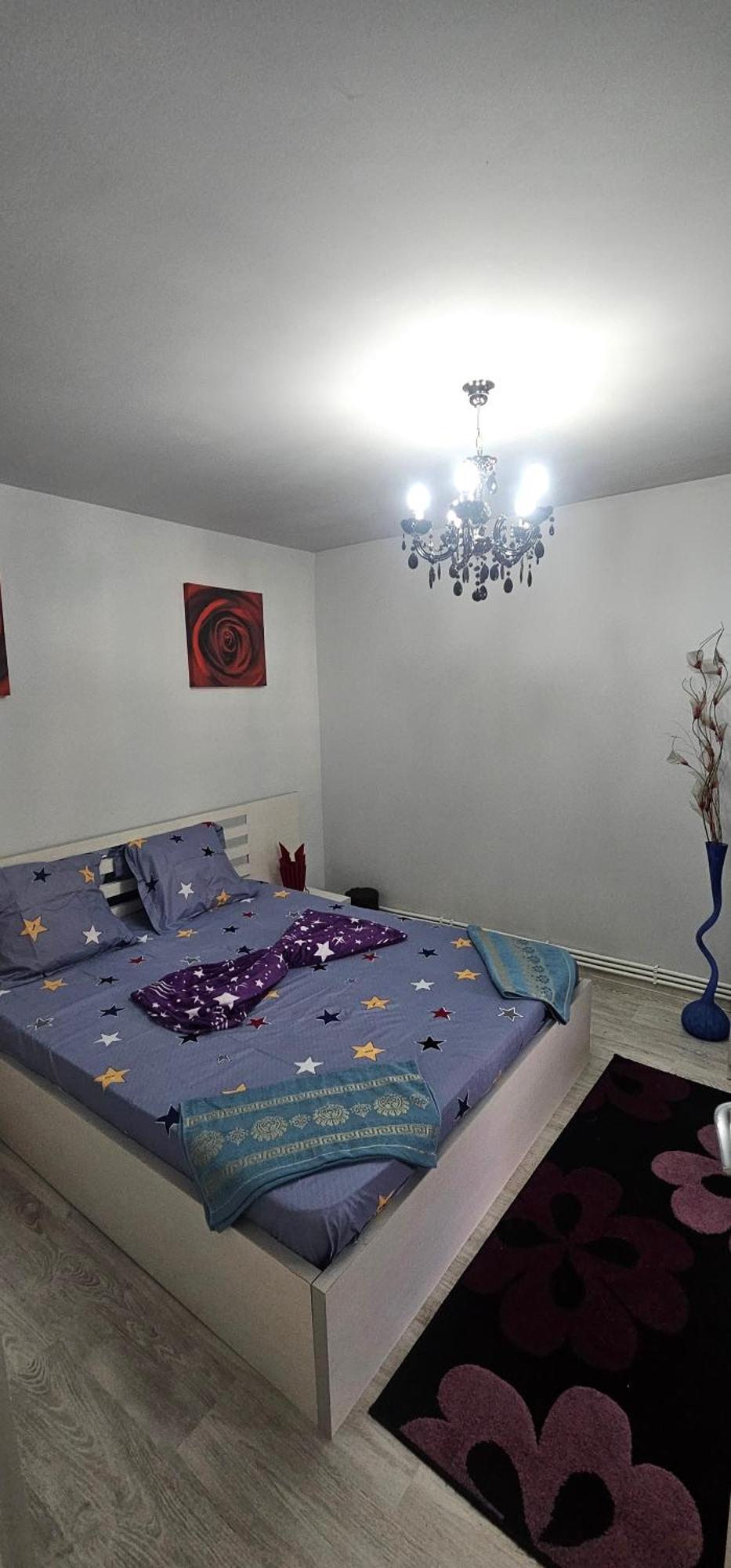 Garsoniera Regim Dni Apartman Petrozsény Kültér fotó