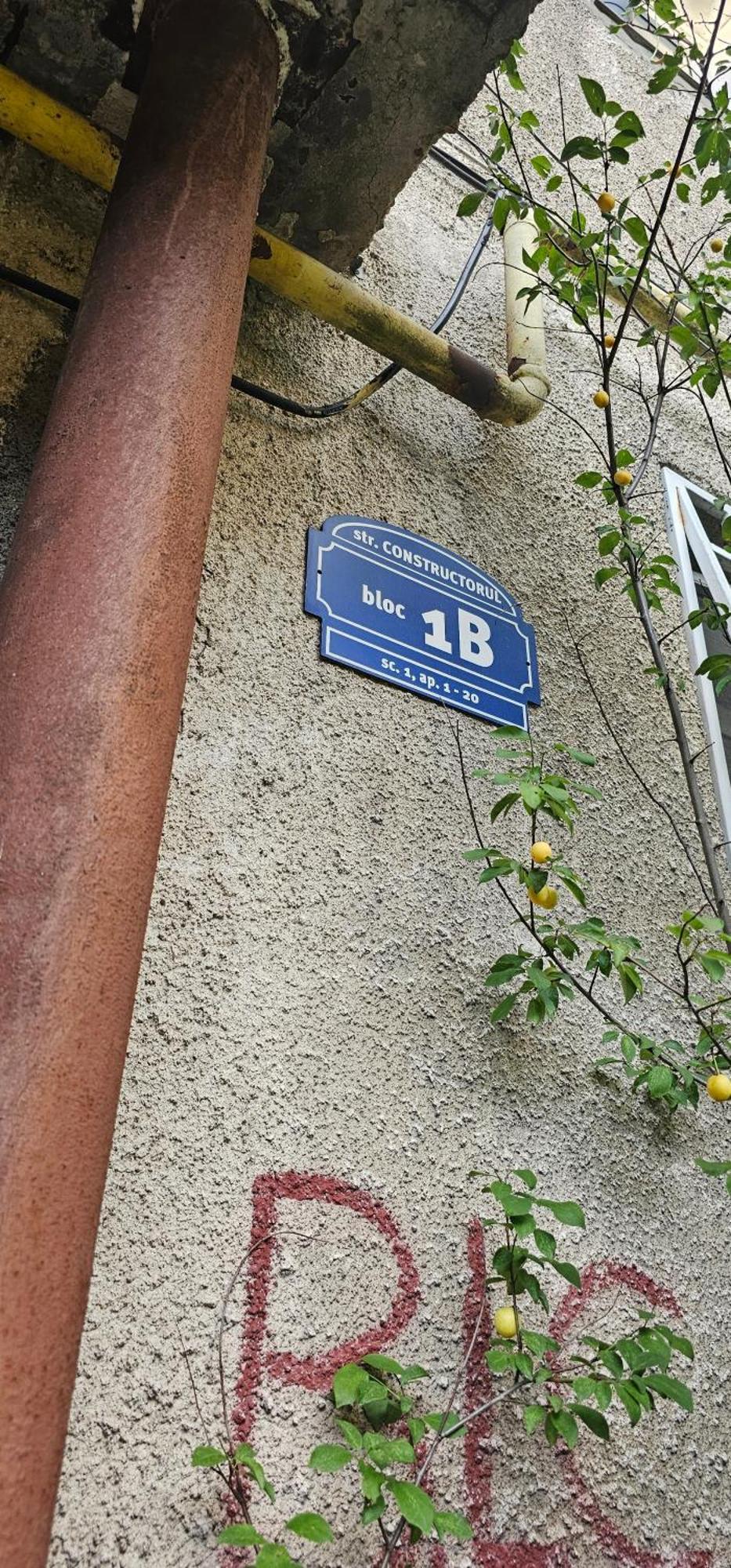 Garsoniera Regim Dni Apartman Petrozsény Kültér fotó