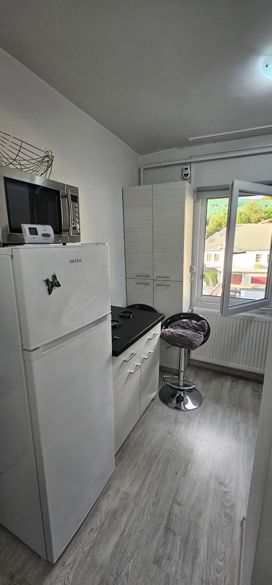 Garsoniera Regim Dni Apartman Petrozsény Kültér fotó